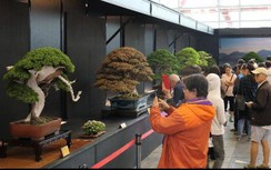 Mãn nhãn cây cảnh Bonsai & Suiseki lần đầu từ 50 nước tụ hội về Việt Nam