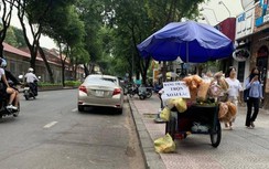 Những hình ảnh chướng mắt ở "phố bán hoa" trên xa lộ Hà Nội