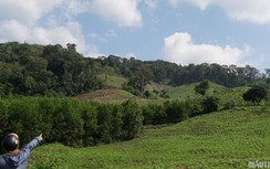 Gia Lai: Thêm một ban quản lý rừng phòng hộ mất hơn 1.400ha rừng