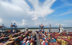 Hơn 2.900 container vô chủ tồn đọng tại cảng biển TP. Hồ Chí Minh