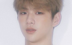 Kpop “báo động” trầm cảm: “Center quốc dân” Kang Daniel kêu cứu