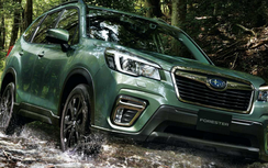 Subaru Forester X-Edition 2020 chính thức ra mắt, giá từ 676 triệu đồng