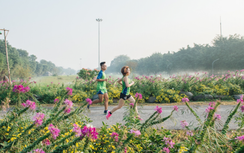 EcoPark Marathon - Chạy giữa miền xanh