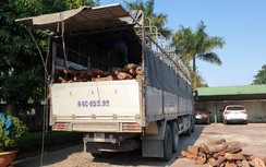 Bắt xe tải chở hơn 18 tấn gỗ trắc có hồ sơ bất nhất