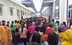 Hơn 1.000 công nhân ở Ninh Bình nghỉ việc do thưởng Tết không thỏa đáng