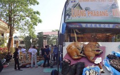 Nghệ An: Lái xe biển Lào mang ma túy, chở nhiều hàng cấm