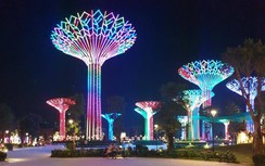 Khám phá công viên ánh sáng như Singapore ở Sài Thành dịp Tết