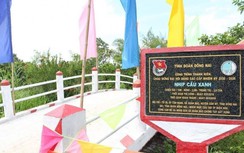 Lấp lánh niềm vui bên những cây cầu dân sinh từ vốn xã hội hóa ở Đồng Nai