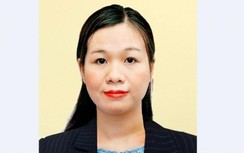 Cận Tết, SeABank bổ nhiệm tân nữ Phó Tổng giám đốc