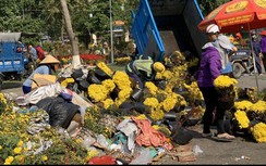 Ngậm ngùi hoa Tết bán rẻ không ai mua, quăng lên xe rác ở Sài Gòn