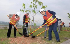 Đầu năm trồng cây dọc quốc lộ góp phần đảm bảo ATGT