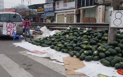 Dưa hấu tràn từ cửa khẩu về Hà Nội bán tháo 8.000 đồng/kg vì virus Corona