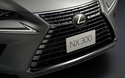 Tăng giá 50 triệu đồng, Lexus NX300 2020 có thêm những trang bị gì?