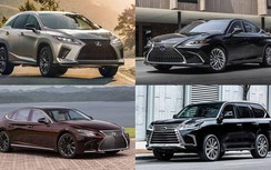 Mua xe sang Lexus, chọn mẫu xe nào phù hợp với nhu cầu và tài chính?