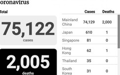 Dịch Covid-19 ngày 19/2: Thêm 132 người chết, 1.693 ca nhiễm mới ở Hồ Bắc