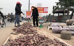 Bát nháo nông sản treo biển "giải cứu" trên phố Hà Nội