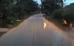 Video: Chết điếng với tình huống trẻ nhỏ lao ra trước đầu xe tải