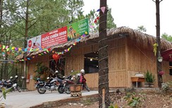 Quảng Ninh: Nhà hàng xây trên đất rừng ung dung tồn tại