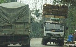 QL70 đoạn qua Yên Bái - Lào Cai tràn ngập xe quá khổ, quá tải