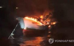 Thông tin mới về vụ cháy tàu cá có 5 người Việt ở Hàn Quốc