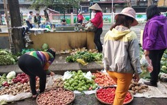 Không còn cảnh đổ xô mua hàng dự trữ, chợ Hà Nội đã bình yên trở lại