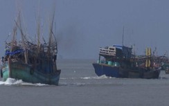 Cà Mau: Chủ tàu cá bị phạt hơn 1 tỷ, tước bằng thuyền trưởng