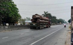 Giám đốc Công an tỉnh Tiền Giang chỉ đạo làm rõ xe chở gỗ trên QL1