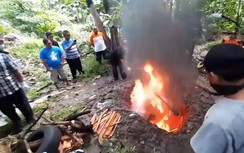 Video: Indonesia tịch thu, tiêu hủy hàng trăm con dơi để ngăn Covid-19