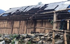 Lốc xoáy quật đổ cây đè chết 1 người ở Lào Cai