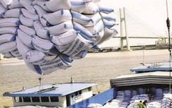Thủ tướng Chính phủ yêu cầu tạm dừng ký hợp đồng xuất khẩu gạo mới