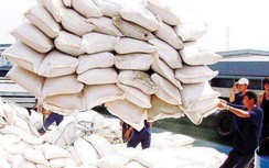 Bị phản ứng vì bất nhất tham mưu xuất khẩu gạo, Bộ Công thương nói gì?