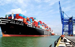Vận tải biển thiệt hại kép do tàu tuyến quốc tế “cướp lốt”
