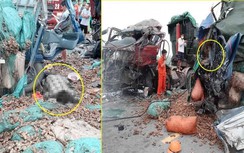 Tai nạn ở Nghệ An: Ô tô tải đấu đầu xe đầu kéo, 2 người tử vong