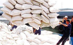 Bộ Công thương chính thức kiến nghị tiếp tục cho xuất khẩu gạo