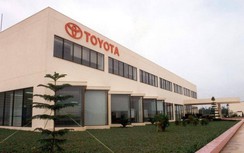 Toyota Việt Nam tạm dừng sản xuất, điều chỉnh kế hoạch vì Covid-19