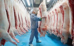 Bộ Công thương kiến nghị quy định giá ở khâu giết mổ để giảm giá thịt lợn