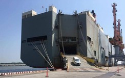 Thuyền trưởng tàu chở ô tô nhập khẩu về Việt Nam tử vong trên tàu