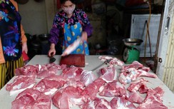 Lợn hơi quay đầu giảm, giá thịt lợn đã "hạ nhiệt" 20.000 đồng/kg