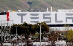 Tesla cắt giảm nhân viên tại California, Nevada
