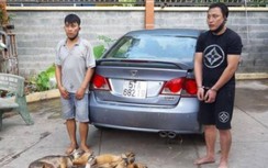 Công an tóm hai đối tượng dùng xe ô tô đi trộm chó ở Bình Dương