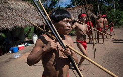 Tin thế giới mới nhất 9/4: Amazon đã có thổ dân đầu tiên mắc Covid-19