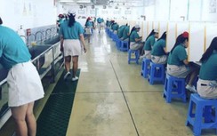 TP.HCM: Lấy 1.600 mẫu xét nghiệm Covid-19 trong công nhân