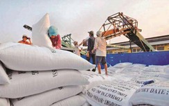 Tờ khai xuất khẩu gạo mở rồi đóng lúc nửa đêm: Bộ Công thương nói gì?