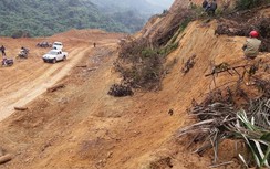Phạt 125 triệu, buộc Công ty CP Năng lượng Quảng Trị khôi phục rừng đã phá