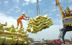 Thủ tướng nói rõ về chủ trương xuất khẩu có kiểm soát mặt hàng gạo