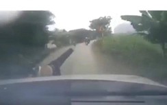 Video: Tài xế xe máy nguy kịch sau tai nạn kép với 2 ô tô