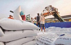 7 Cục Dự trữ Nhà nước khu vực vướng sai phạm trong mua gạo dự trữ quốc gia