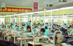 745 doanh nghiệp được tạm dừng đóng quỹ hưu trí và tử tuất