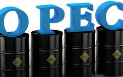Giá xăng dầu hôm nay 16/5: Tăng mạnh nhất sau tín hiệu phục hồi