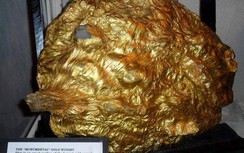 Những cục vàng nguyên khối, khổng lồ từng được con người tìm thấy (phần 1)